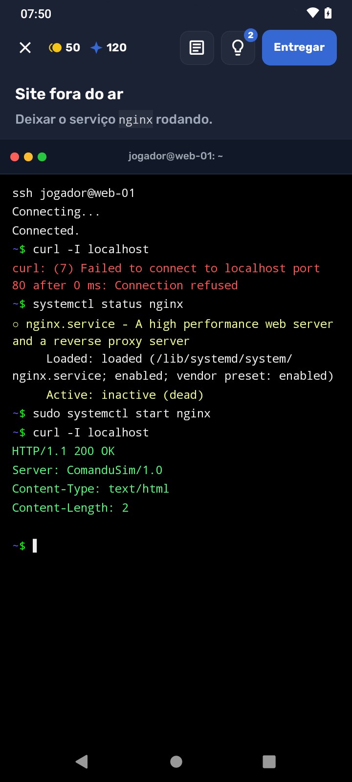 Terminal do desafio Site fora do ar com os comandos digitados
